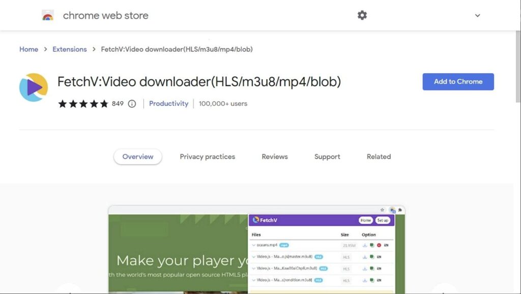 install the fetchv chrome extension