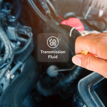 Checking transmission fluid level