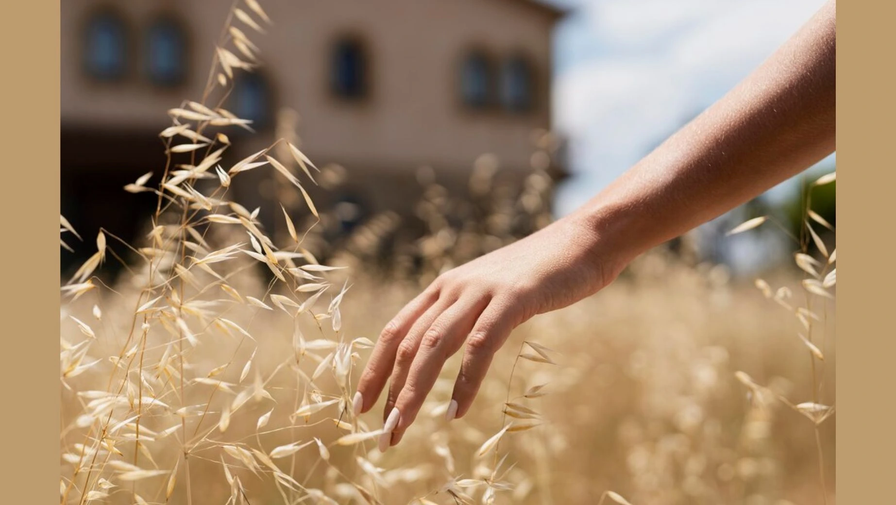 Young Barley