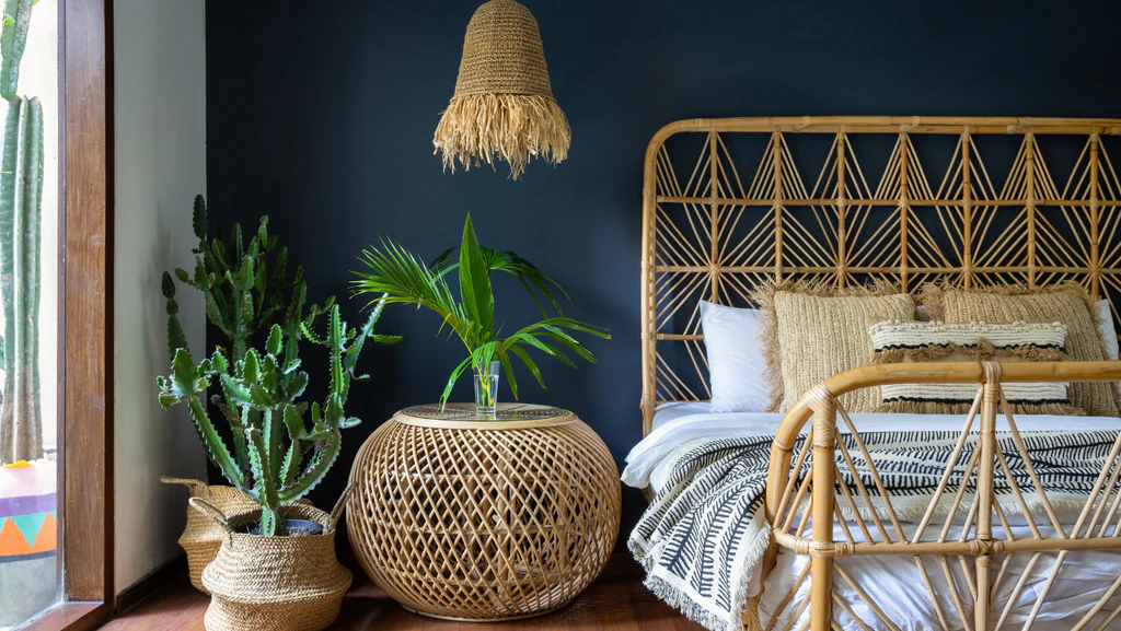A Room Decorated with Natural Elements