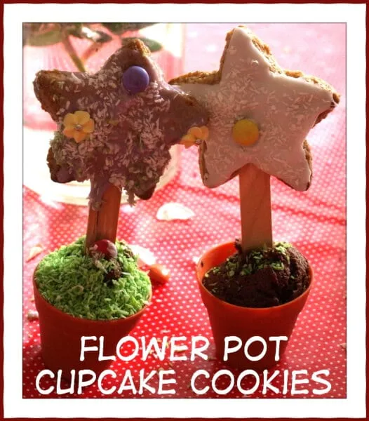 Flower Pot Cake