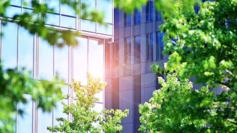 A close-up view of a modern office building surrounded by lush greenery.