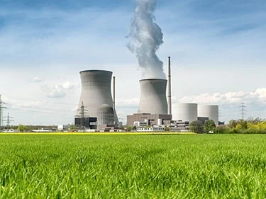 Nuclear Plant Inspection