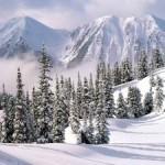 Tips For Safe Winter Travel