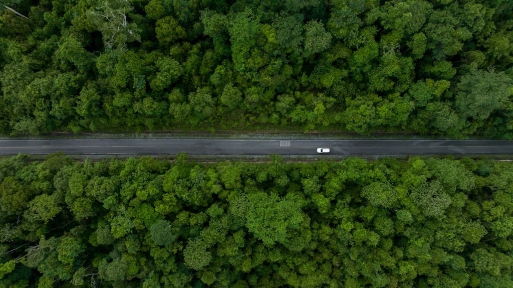 an aerial shot of a white car driving on a road through a green forest area. 