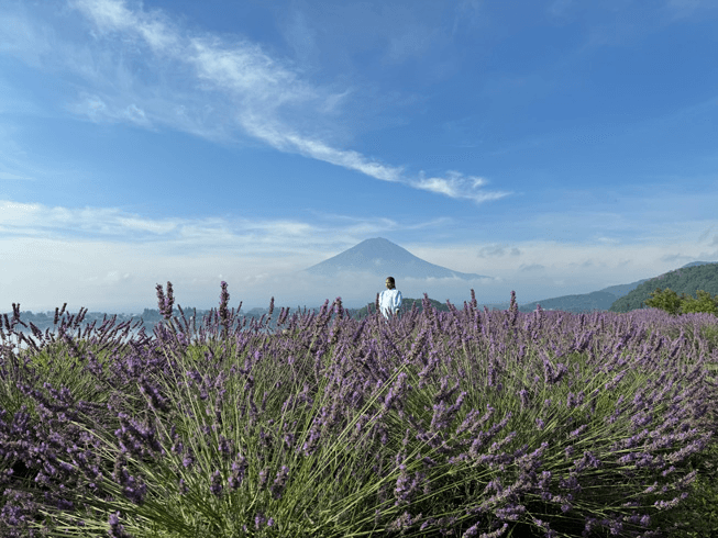 image 282