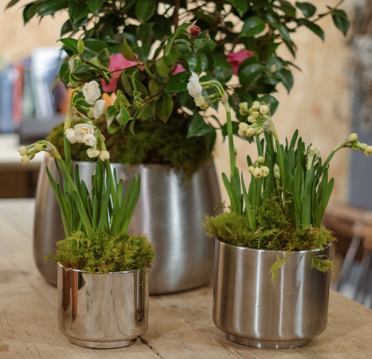 A selection of Newlyn and Hepworth Marine 316 Stainless Steel plant pots with floral arrangements inside.