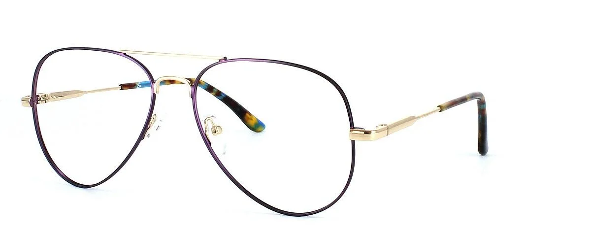 Capricornus in Gold & Purple