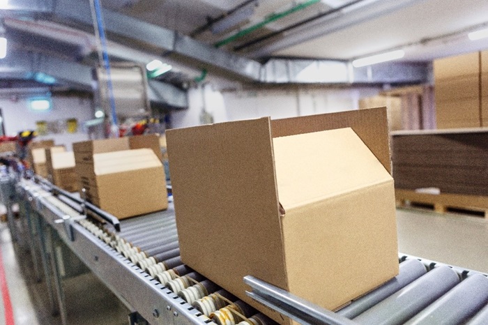 Box on Conveyor Belt