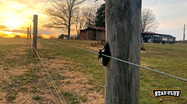 Electric Fence