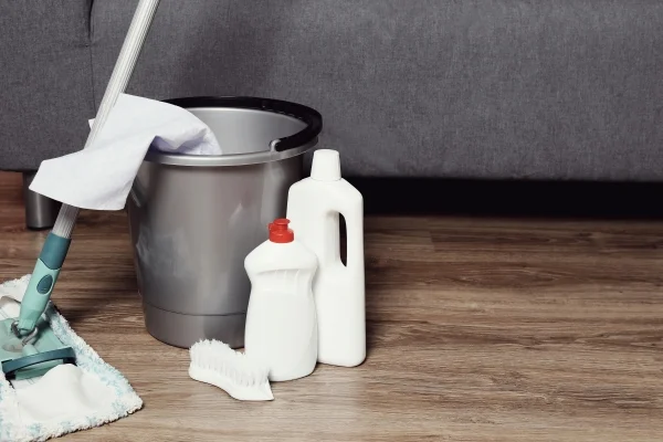 Cleaning Tool Set for Wooden Floors