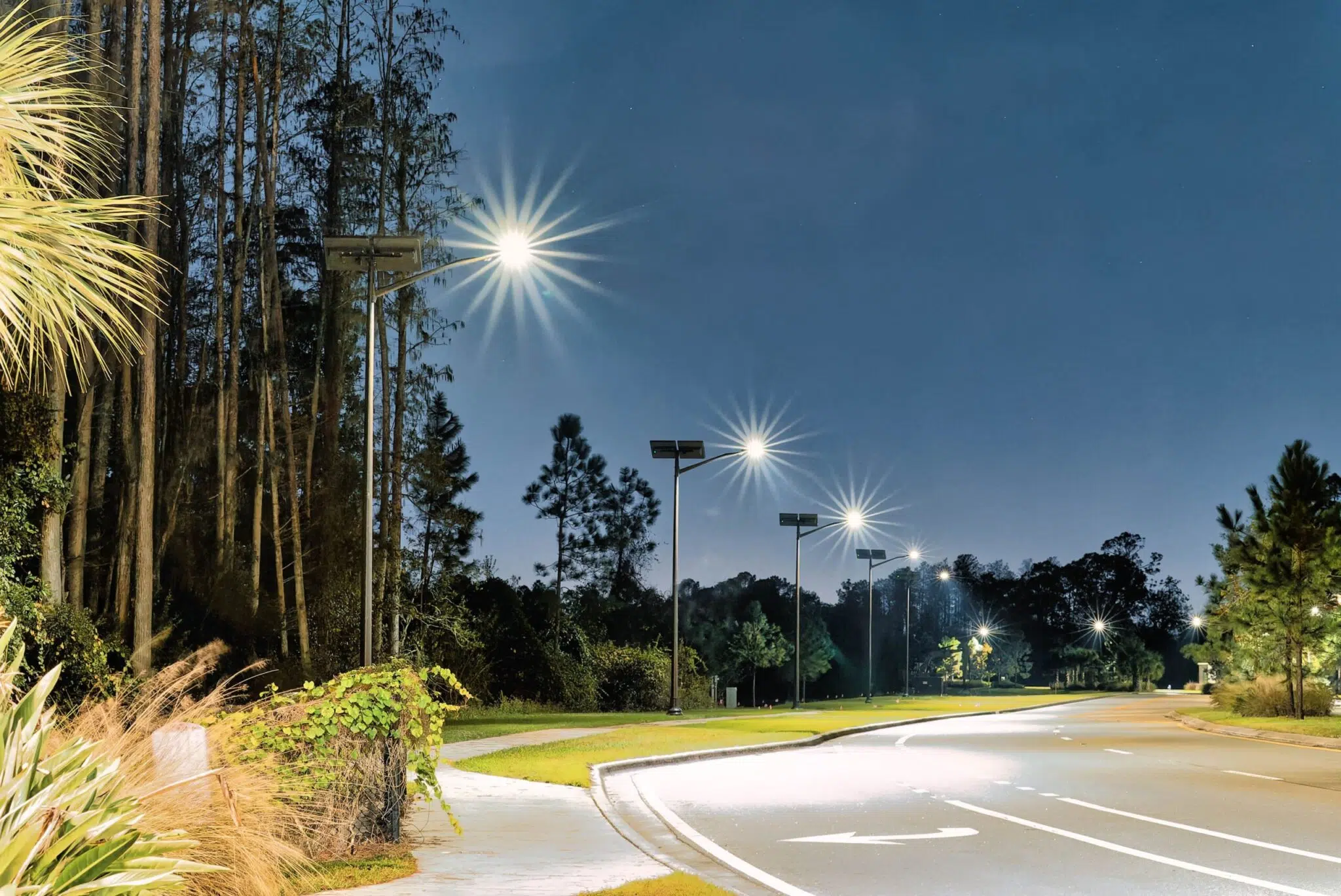 solar lights along a roadway at night