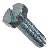 Slotted Hex Cap Screw