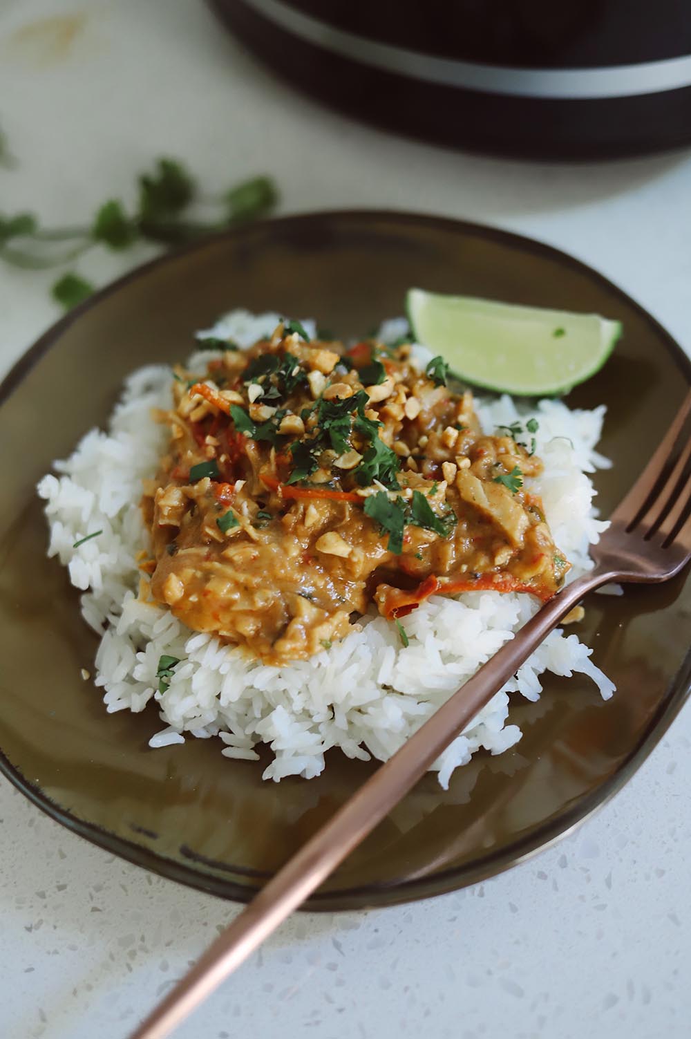 Slow-Cooker-Thai-Chicken-with-Peanut-Sauce-recipe-from-Tabitha-Blue-of-Fresh-Mommy-Blog