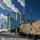 Wood_Products