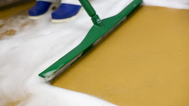 Squeegee_Teaser_640x360.jpg