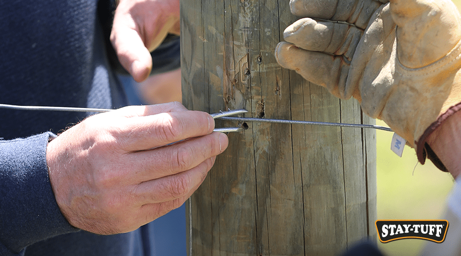 Staples are indispensable in fence installations