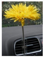 car vase
