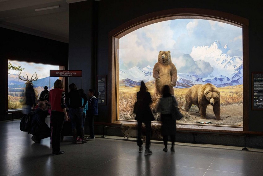 A New York City Luxury Guide For ICFF #2: Museums