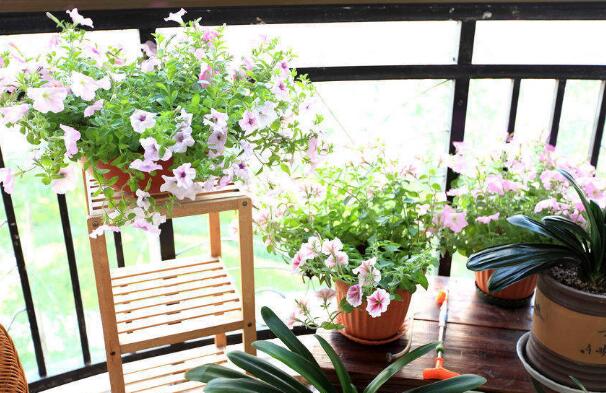 The back garden on the first floor is designed with a natural-looking fence