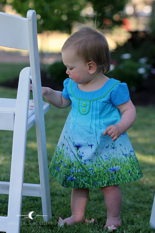 Oliver + S Family Reunion Dress