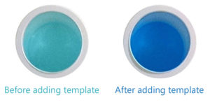 Forget-Me-Notâ„¢ EvaGreenÂ® qPCR Master Mix (2-color tracking system)