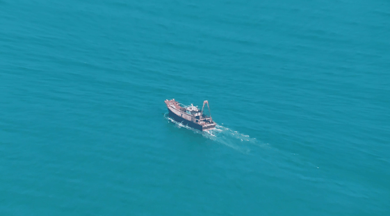 Maritime Patrol and Surveillance