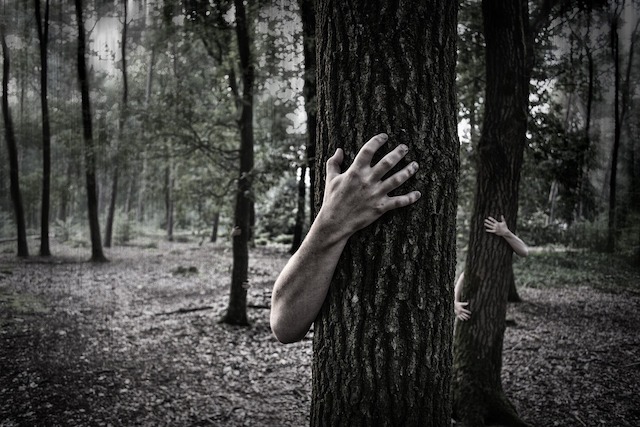 Hands