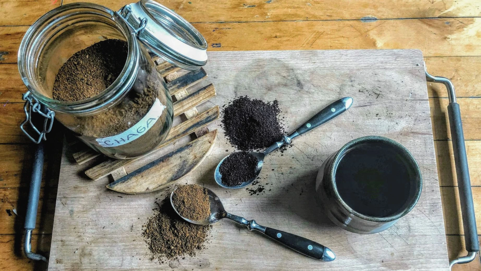 Chaga Mushroom
