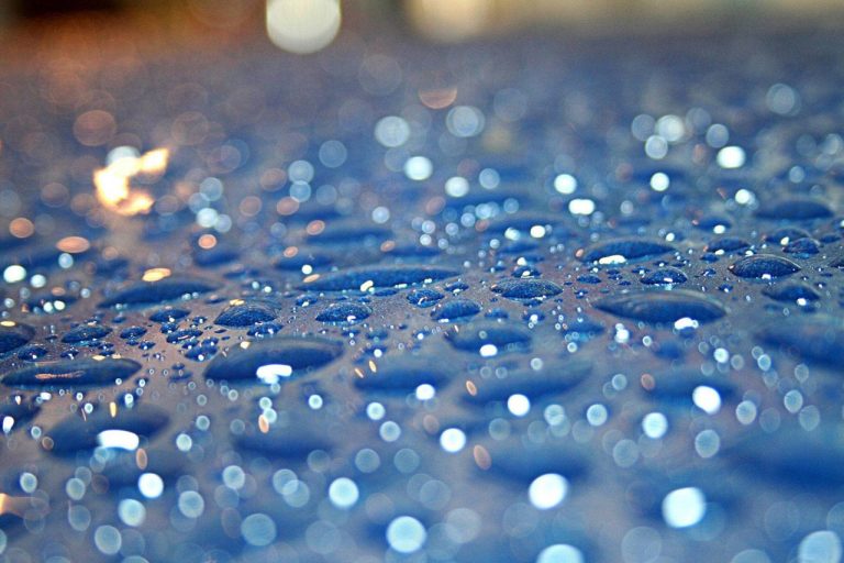 Stay Safe from Fungal Infections During Rains fungal
