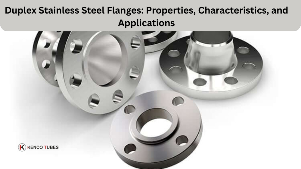 Duplex Stainless Steel Flanges: Properties, Characteristics, and Applications