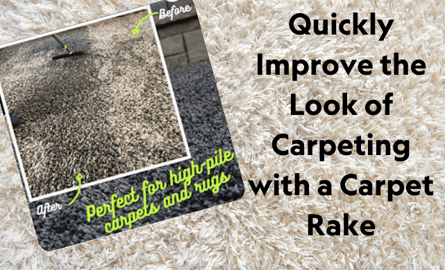 carpet rake