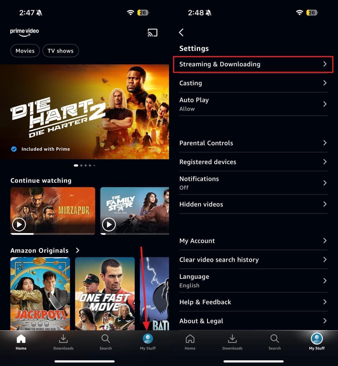 select the streaming and downloading option