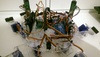 Prototyping hexapod motion with a Maestro USB servo controller