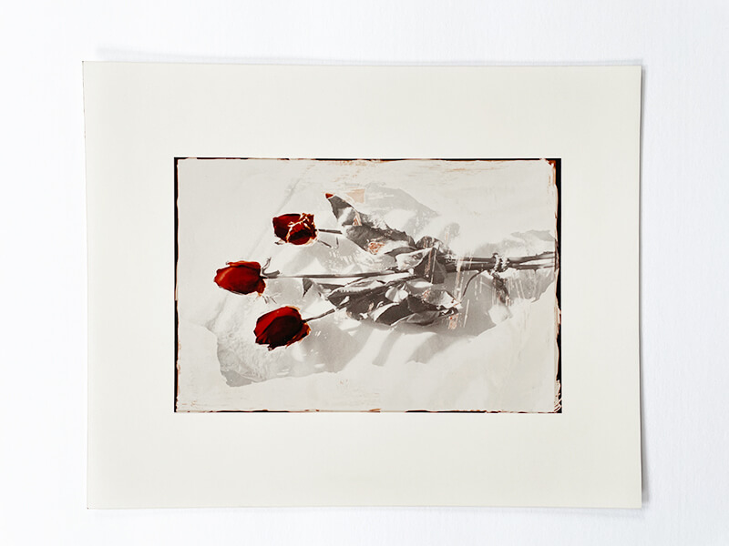 Flower art print by Cattie Coyle