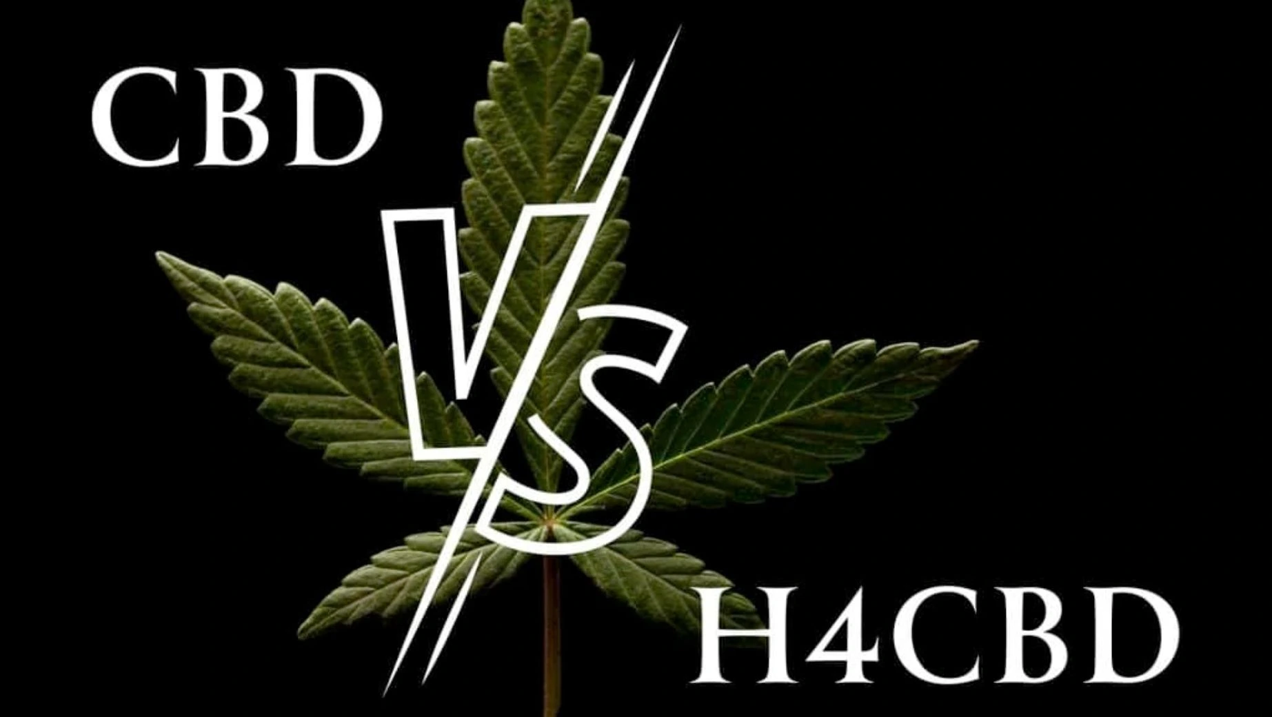 H4CBD