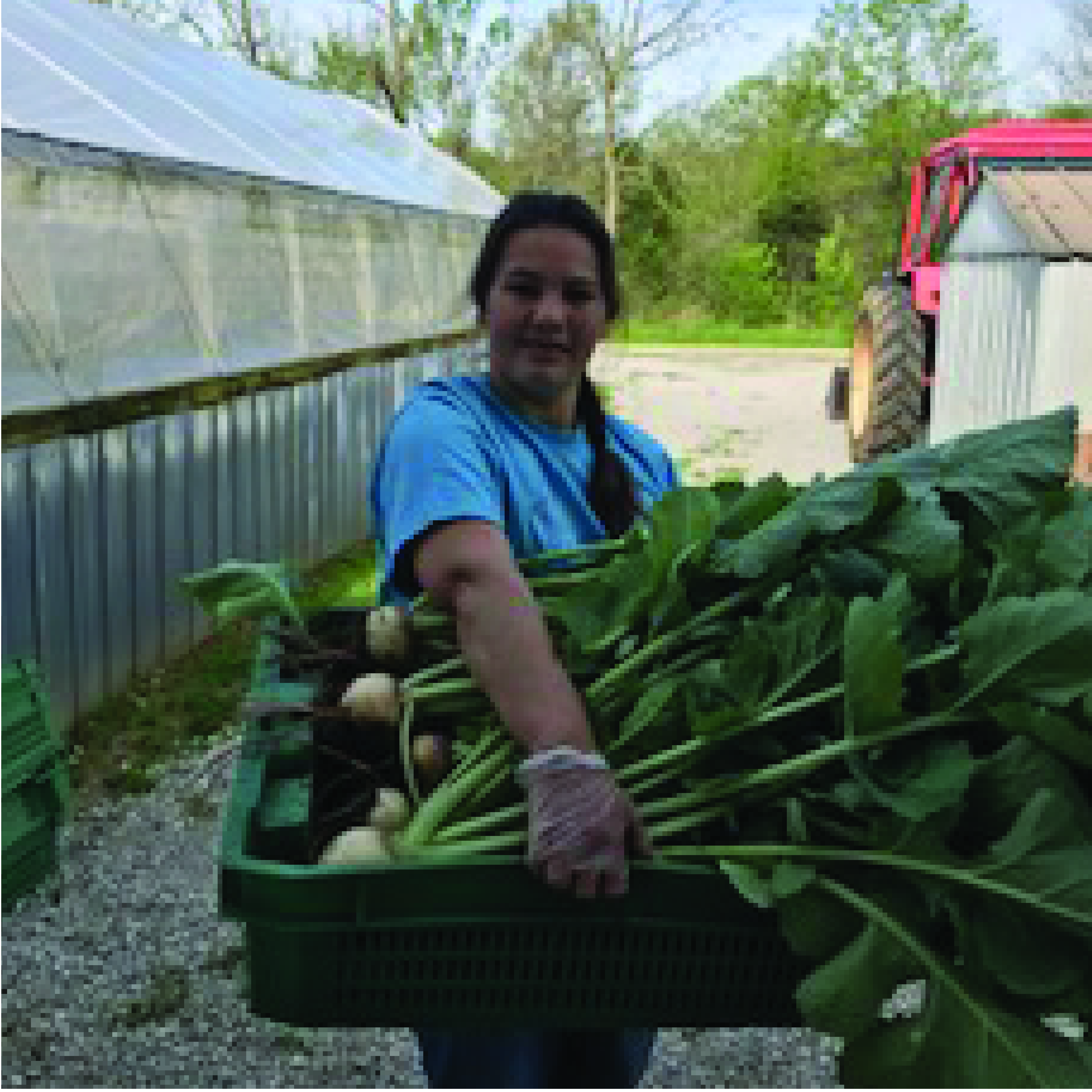 salad farm