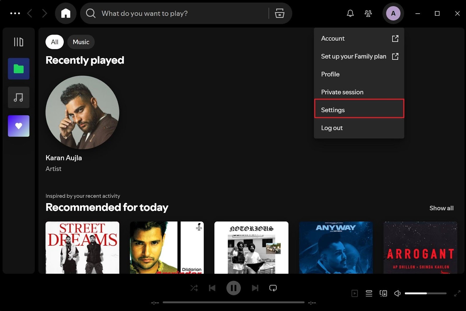 access the spotify settings