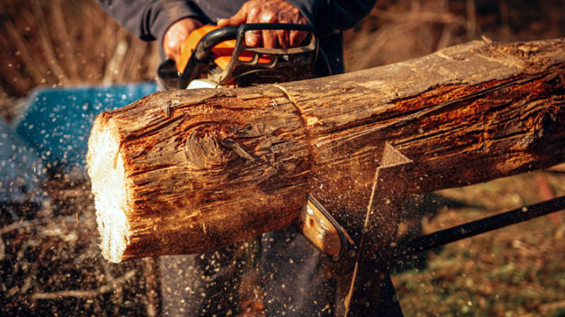 using a chainsaw to cut tree