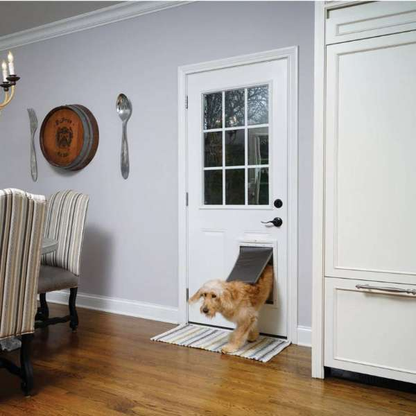 Golden Retriever Exiting Through a PetSafe Extreme Weather Pet Door