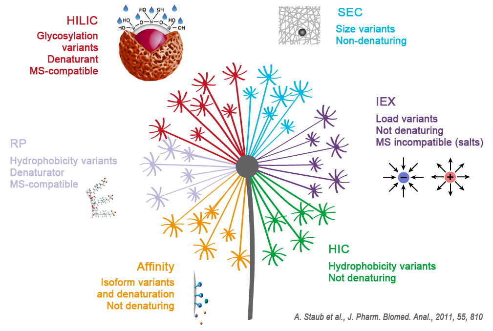 Chromatographic technics