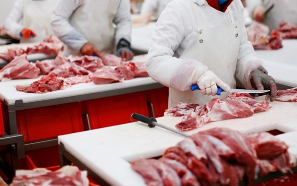 Abattoir Workers Meat Processing