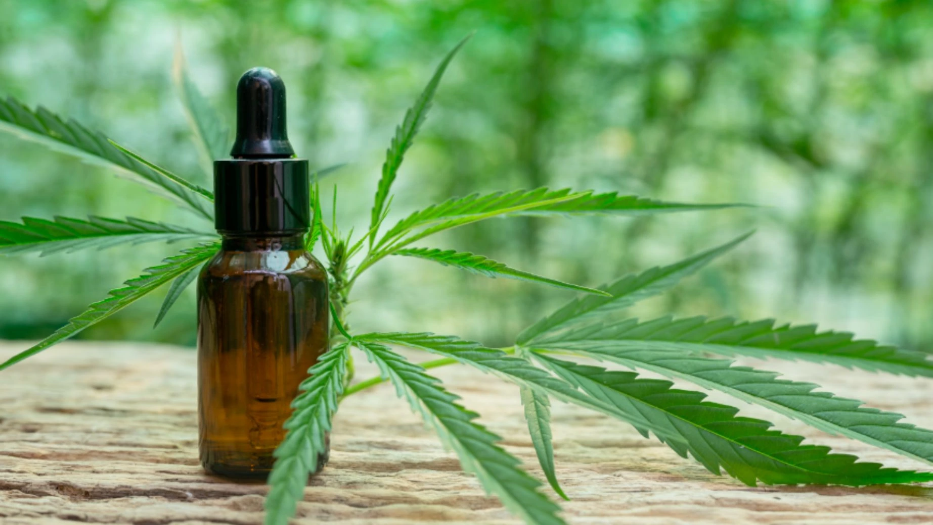 H4CBD Potential