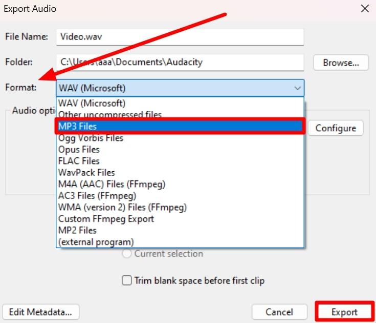 choose desired audio format before exportingÂ