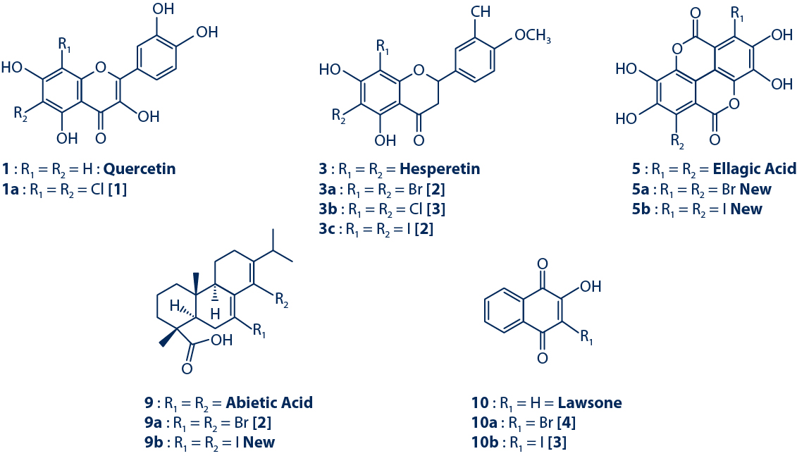 Semi-Synthetic Compounds Obtained from Oxidative Halogenation