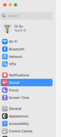 choose the sound option