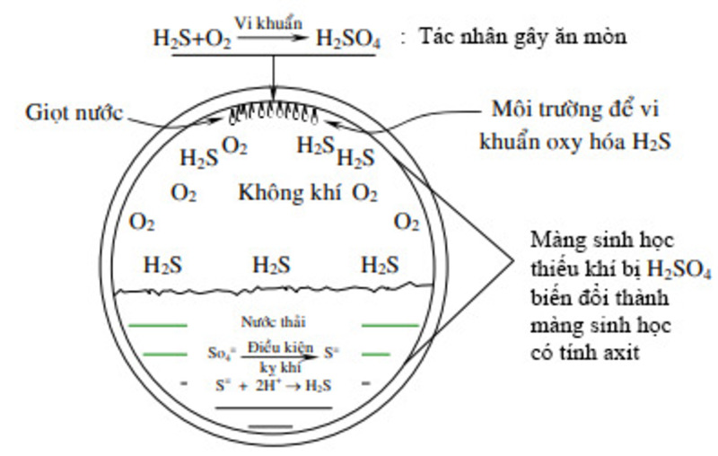 xu-ly-h2s-trong-nuoc-3