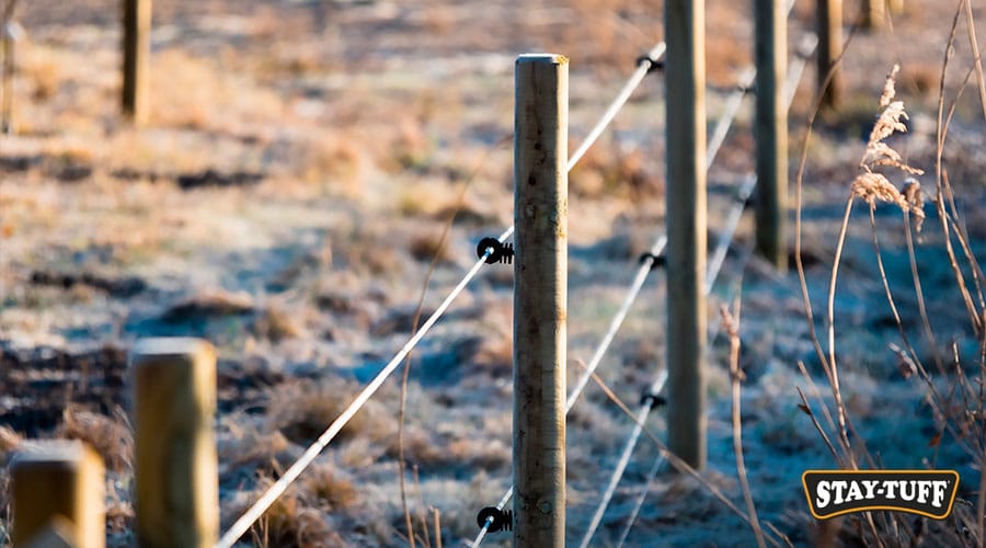 Elevate the level of protection with electrified wire around your perimeter
