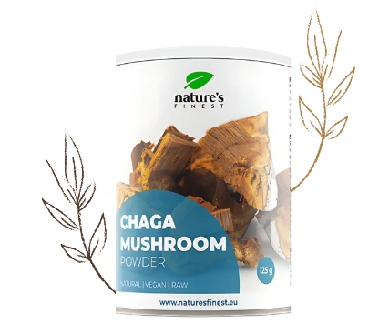 Chaga Extract