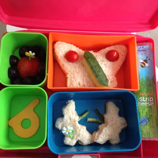 butterfly themed lunch box 
